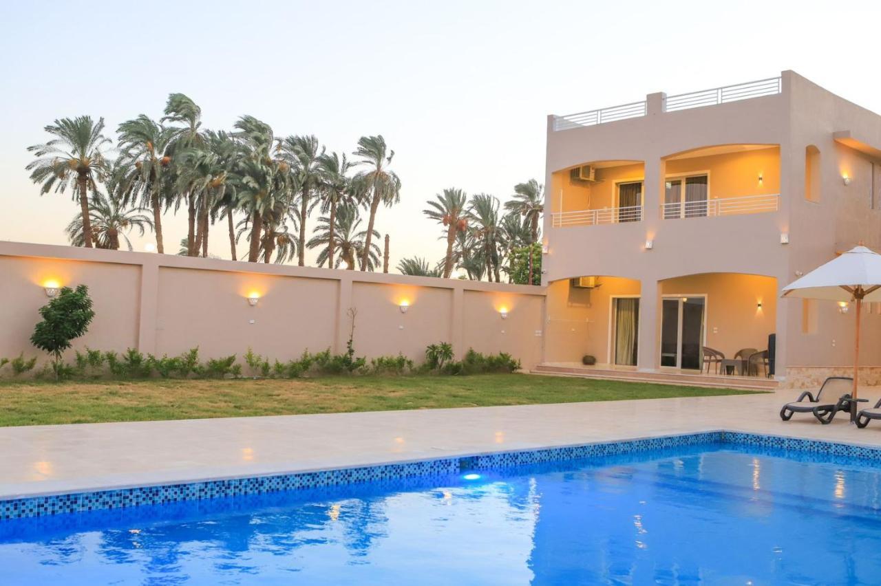 Royal Nile Villa - Pool View Apartment 1 Luxor Ngoại thất bức ảnh